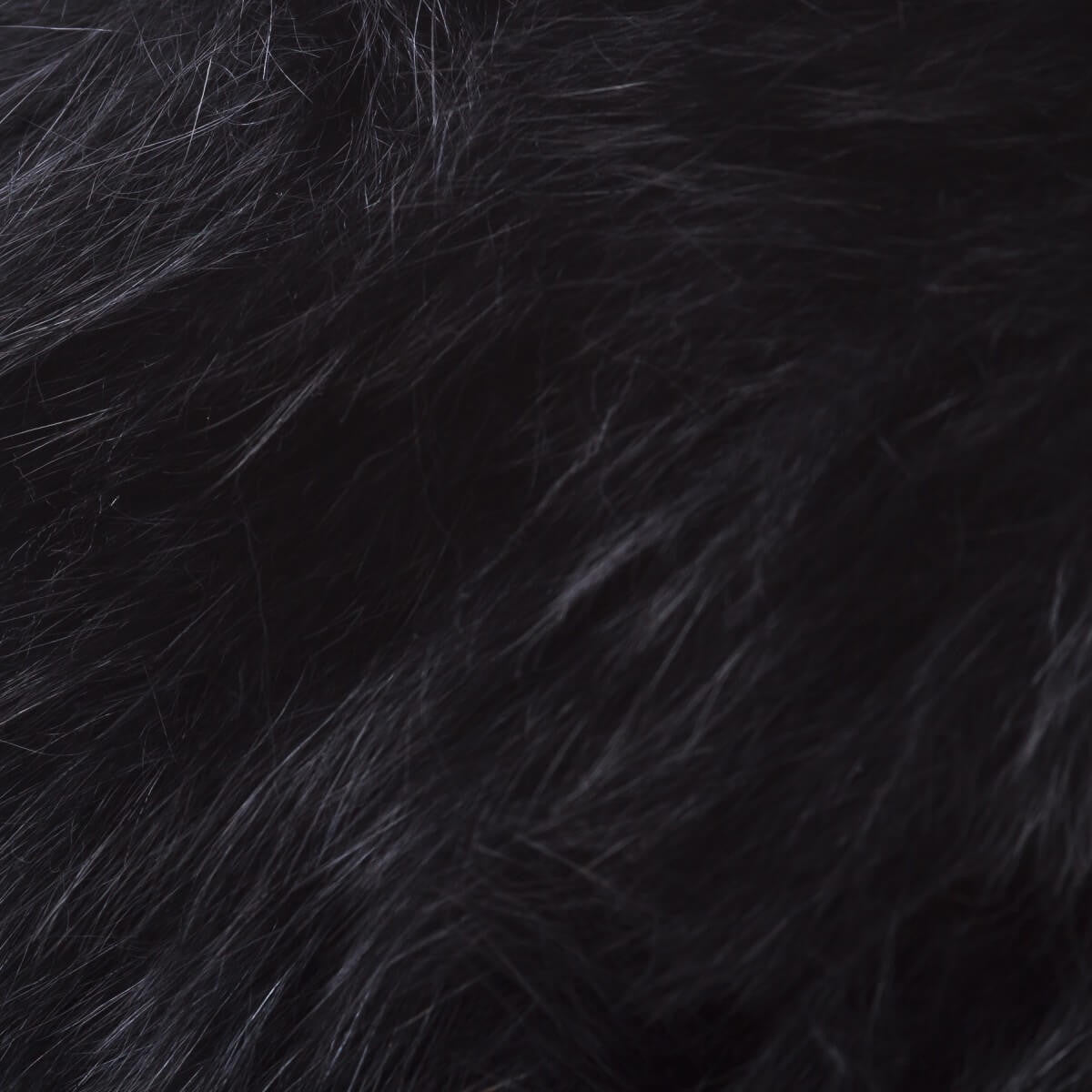Black Detail