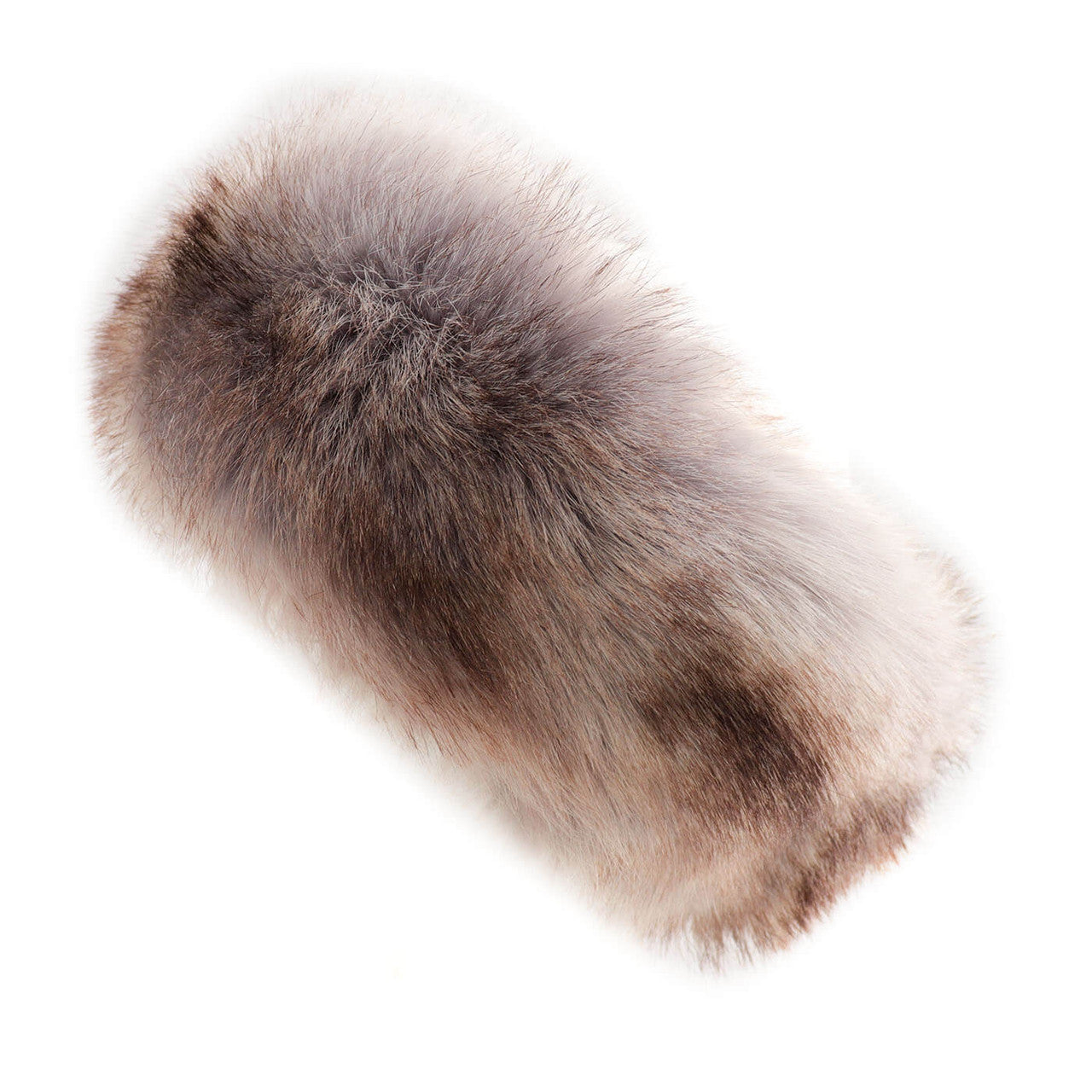 Arctic Fox