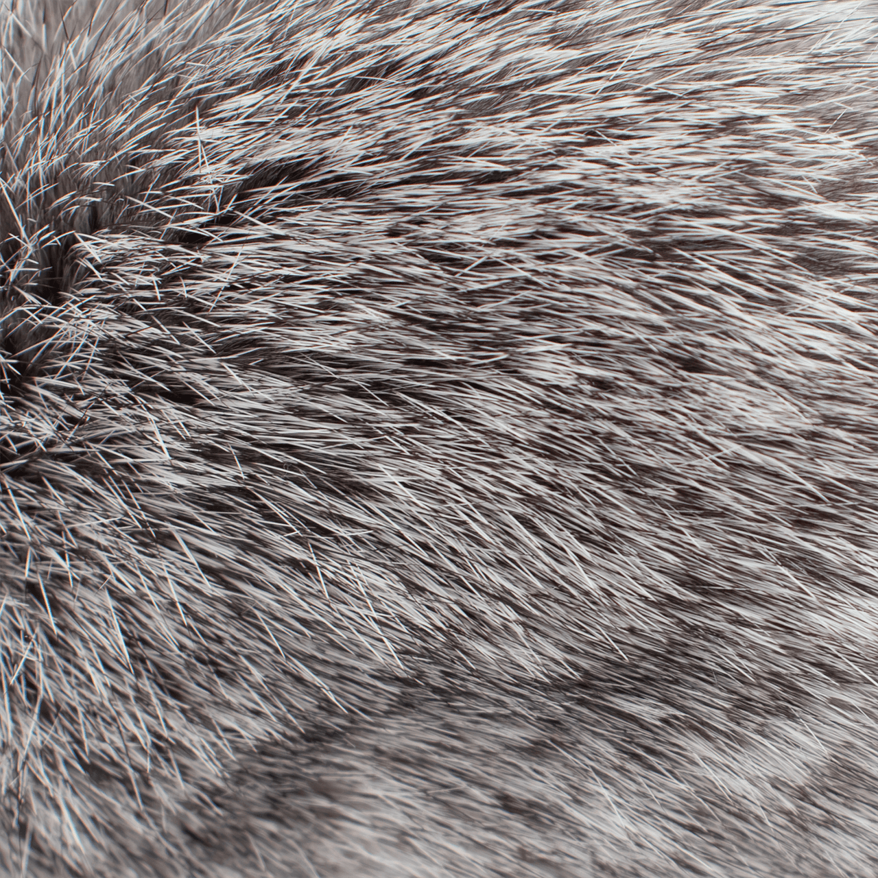 Close up of gray rabbit fur