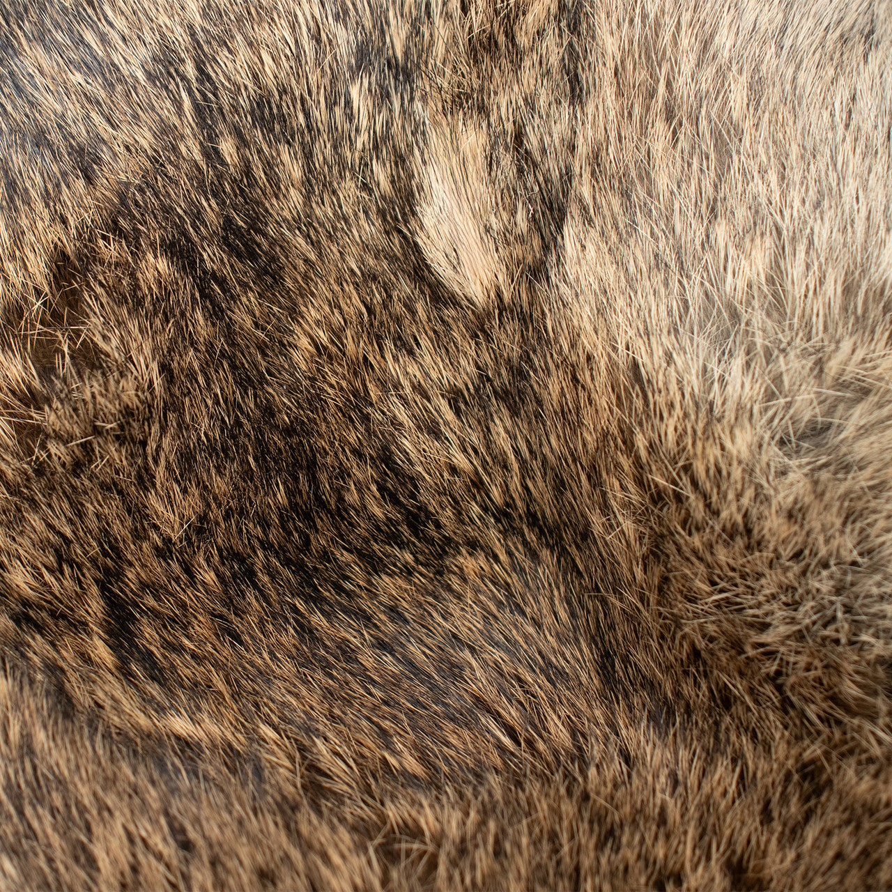 Rabbit Fur Davy Crockett Hat