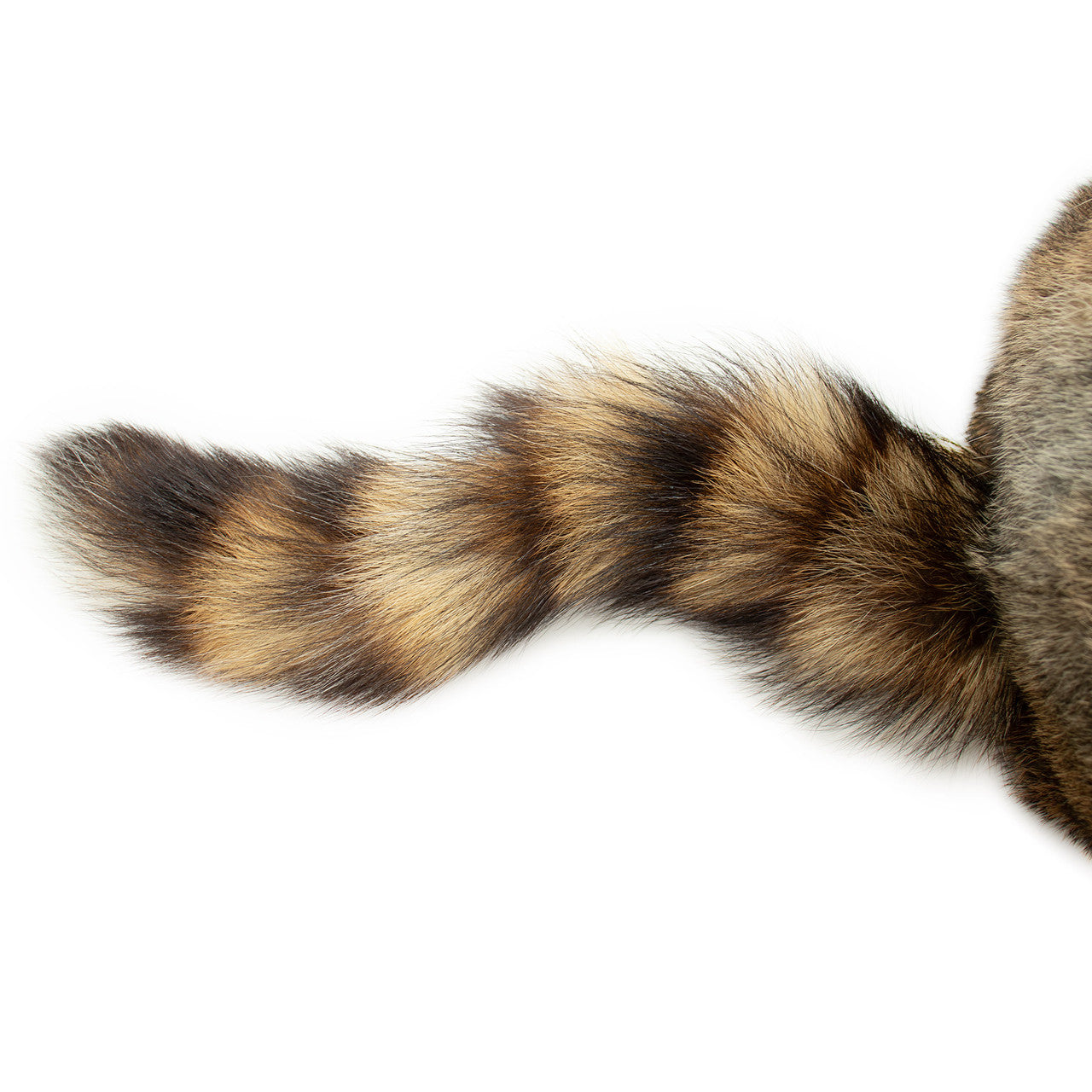 Rabbit Fur Davy Crockett Hat