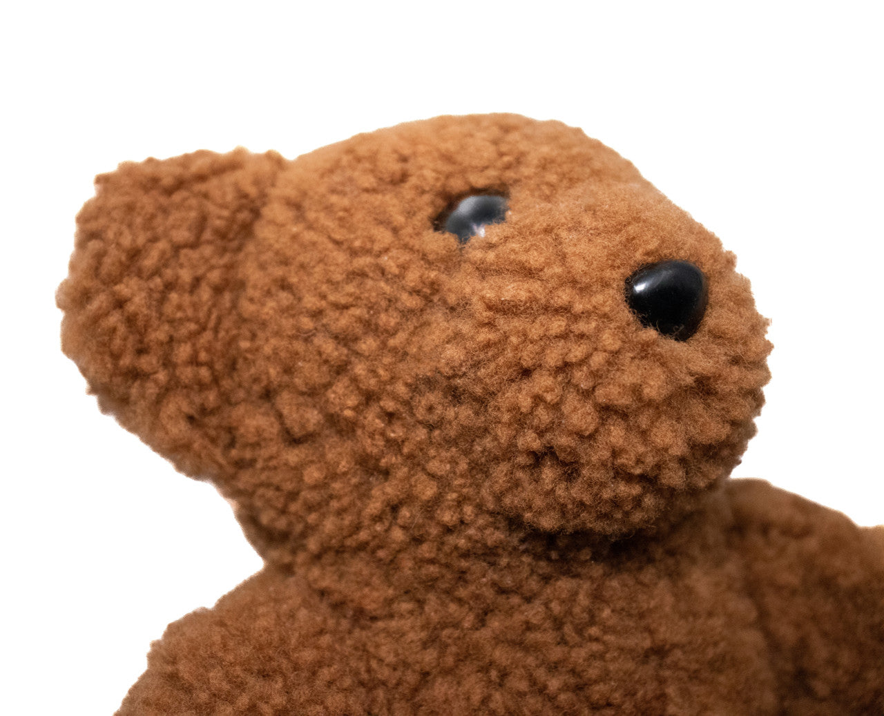 Lambswool Teddy Bear Face Close Up