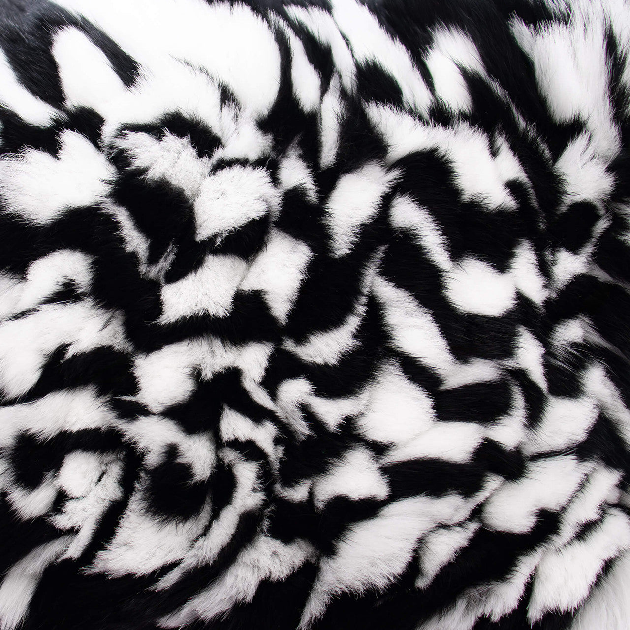 Close up of black and white real rex rabbit fur